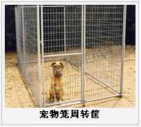 護(hù)欄網(wǎng),市政護(hù)欄網(wǎng),欄網(wǎng)廠家 護(hù)欄網(wǎng),金剛網(wǎng),聲屏障,石籠網(wǎng),框架護(hù)欄網(wǎng),市政護(hù)欄網(wǎng)