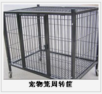 護(hù)欄網(wǎng),市政護(hù)欄網(wǎng),欄網(wǎng)廠家 護(hù)欄網(wǎng),金剛網(wǎng),聲屏障,石籠網(wǎng),框架護(hù)欄網(wǎng),市政護(hù)欄網(wǎng)