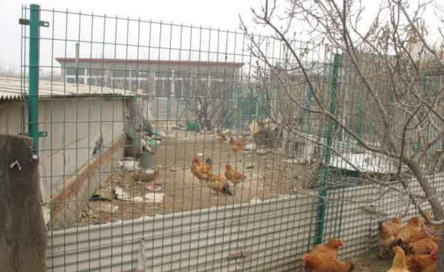 1524382173432856.png 護欄網,市政護欄網,欄網廠家