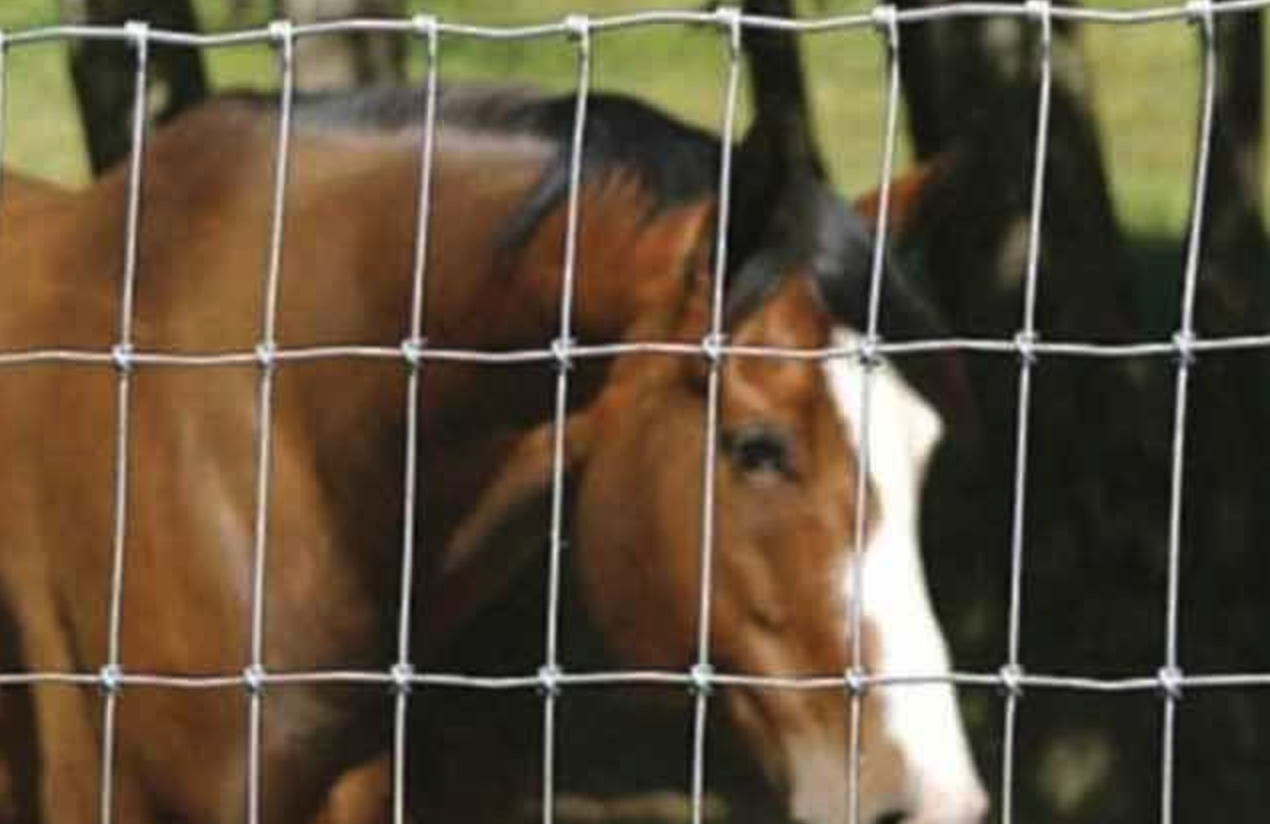 1524384123125454.png image.png