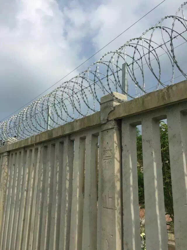 1567586102498745.jpg 護欄網,市政護欄網,欄網廠家