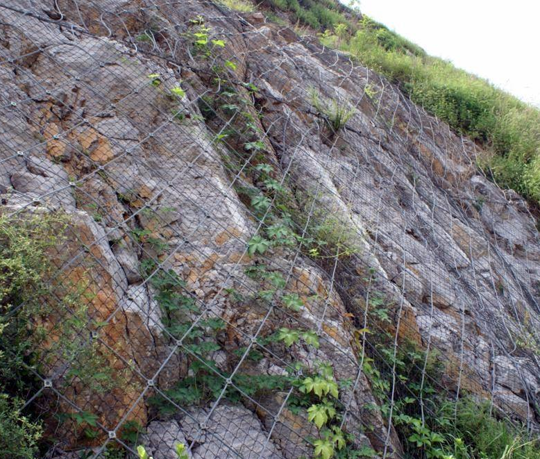 柔性邊坡防護網 柔性邊坡防護網