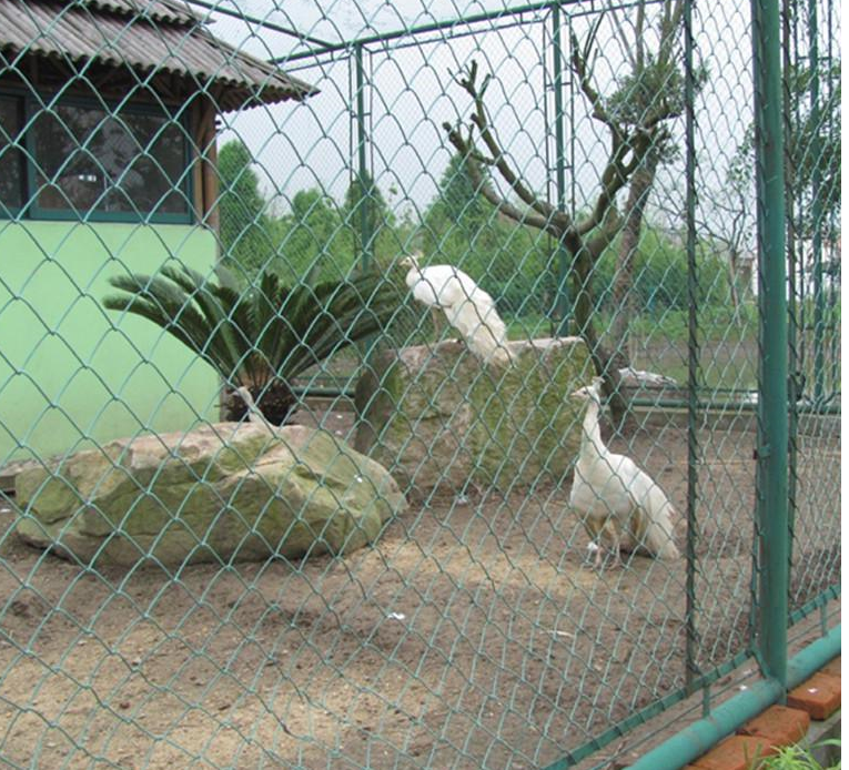 籃球場圍欄網 籃球場圍欄網