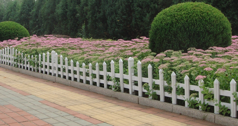 草坪圍欄網(wǎng) 草坪圍欄網(wǎng)