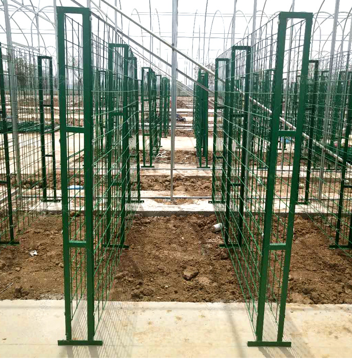 發菌房網架 發菌房網架