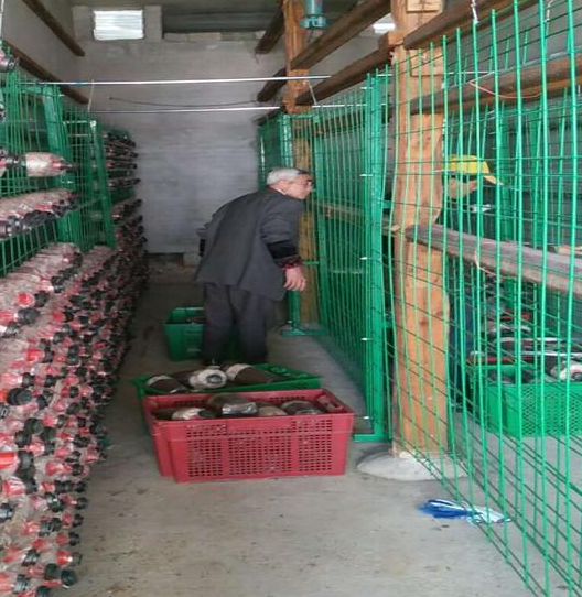 出菇房網架 出菇房網架